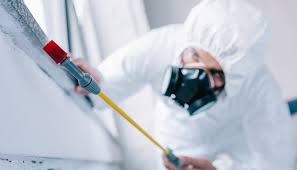 Real Estate Pest Inspections in Grandyle Village, NY